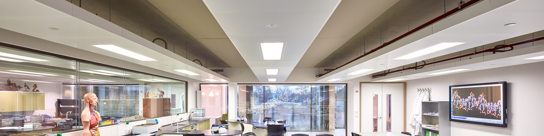 Saunders-edu-600-002.jpg (1)